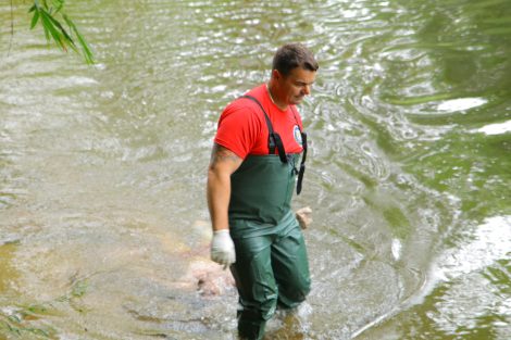 Moradores encontram cadáver no Balneário Rio Verde 8 Boca no Trombone Moradores encontram cadáver no Balneário Rio Verde 8