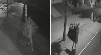 PM prende rapaz que furtou objetos de escola em Telêmaco Borba; veja vídeo