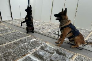 PRF apreende mais de 100 quilos de maconha no Paraná Boca no Trombone PRF apreende mais de 100 quilos de maconha no Paraná