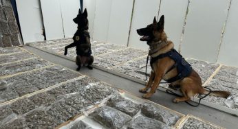 PRF apreende mais de 100 quilos de maconha escondidos em portas na BR-277