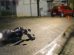 Motociclista é arremessado após colisão com veículo no centro de Ponta Grossa