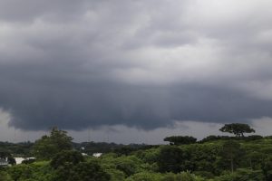 Tempo chuva Boca no Trombone Tempo chuva