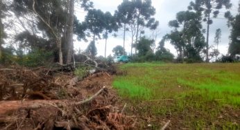 Proprietário é autuado por destruir vegetação nativa em São João do Triunfo