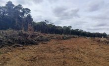 Polícia Ambiental embarga áreas e aplica R$ 49 mil em multas por destruição de vegetação nativa e dano a área de preservação permanente
