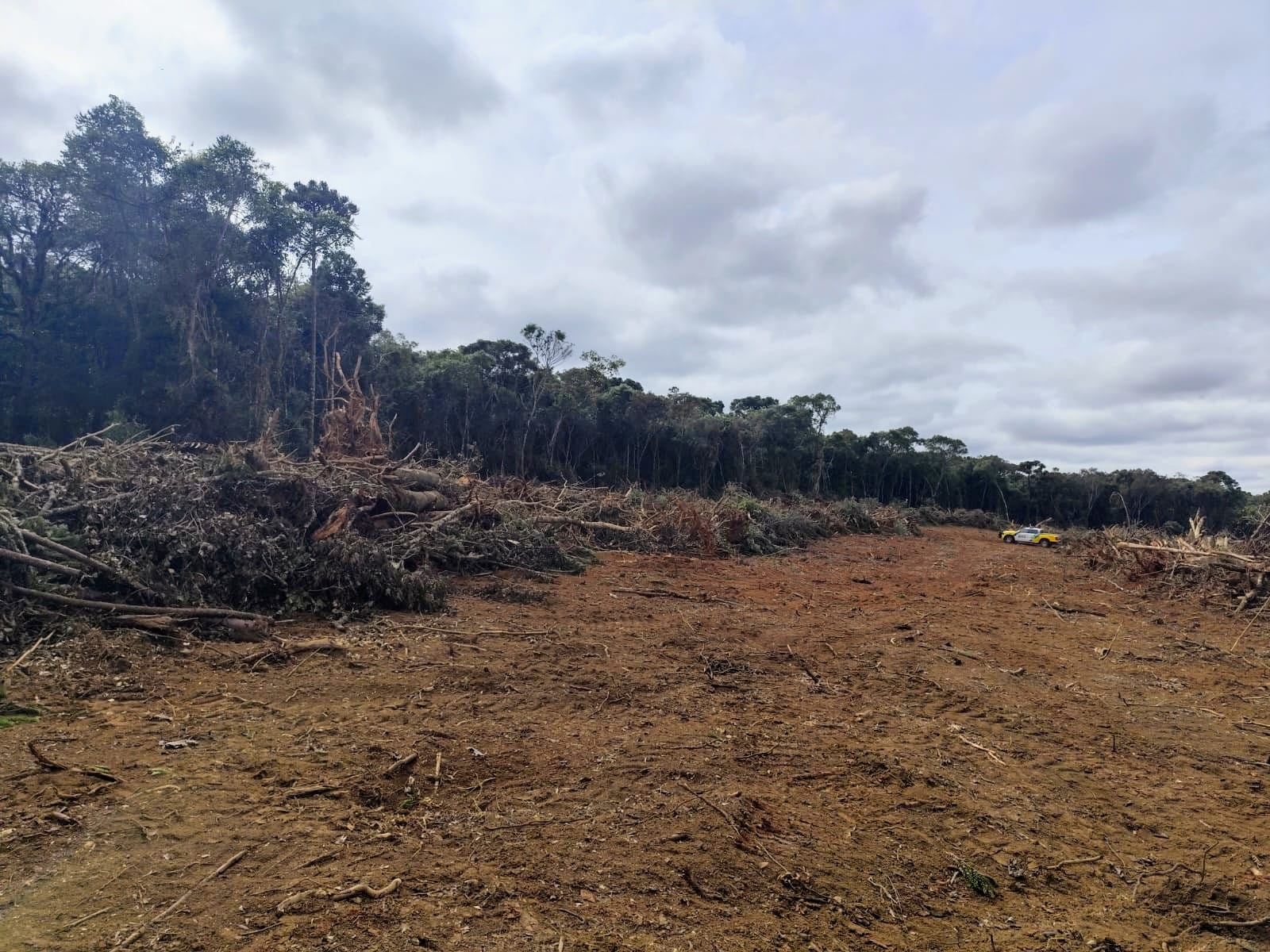 Polícia Ambiental embarga áreas e aplica R$ 49 mil em multas por destruição de vegetação nativa e dano a área de preservação permanente