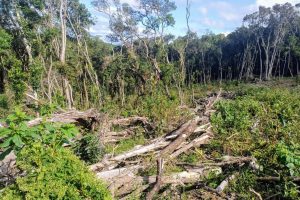 Polícia Ambiental embarga mais de 9 hectares de áreas e aplica multas que somam R$ 59.500,00