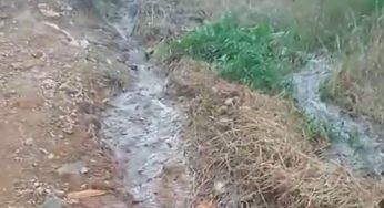 Moradora do Jardim Carvalho denuncia esgoto a céu aberto; veja vídeo