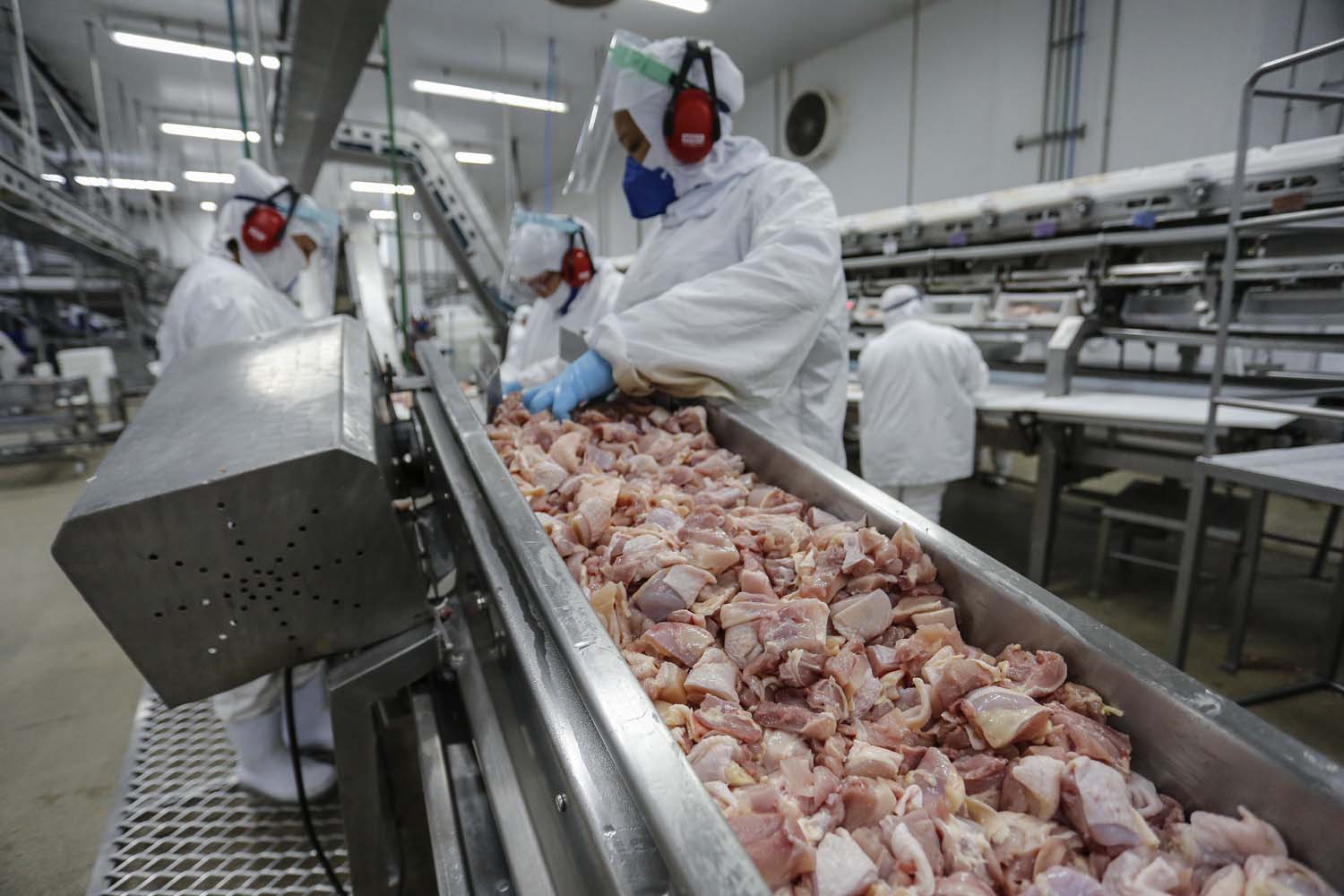 Estado amplia presença no comércio internacional com variedade de produtos e produção recorde no campo