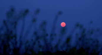 Lua Rosa brilha neste domingo (13) e marca fenômeno astronômico raro em 2025
