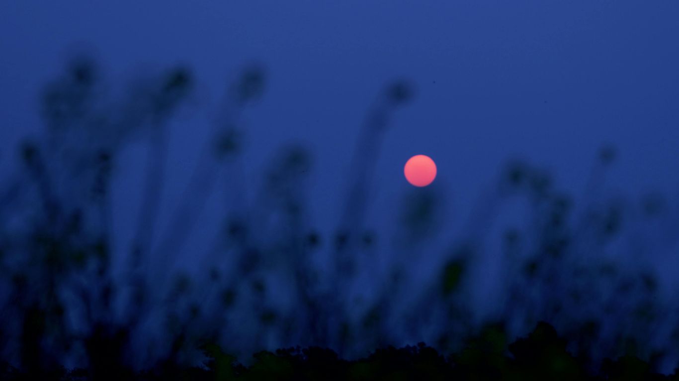 lua rosa