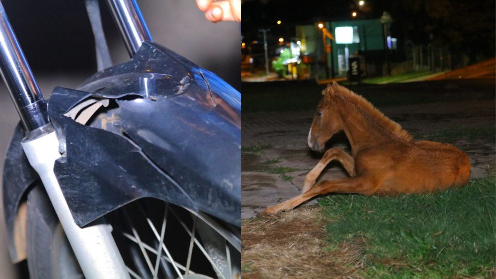 moto colide com cavalo capa Boca no Trombone moto colide com cavalo capa