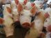 Esse reconhecimento internacional serviu como credencial para abrir novos mercados para a carne suína produzida no Estado