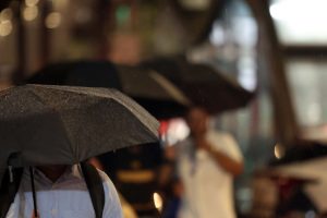 Resíduos de produtos tóxicos foram encontrados em amostras coletadas em Campinas, Brotas e São Paulo Boca no Trombone Resíduos de produtos tóxicos foram encontrados em amostras coletadas em Campinas, Brotas e São Paulo