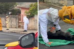 Cópia de REPORTAGEM 2024 bnt 15 Boca no Trombone Cópia de REPORTAGEM 2024 bnt 15