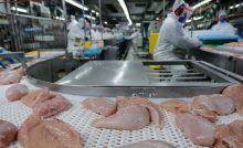 US$ 1,56 bilhão: exportação de carne do Paraná cresce 20,8% nos primeiros meses de 2025