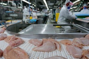 US$ 1,56 bilhão: exportação de carne do Paraná cresce 20,8% nos primeiros meses de 2025 Boca no Trombone US$ 1,56 bilhão: exportação de carne do Paraná cresce 20,8% nos primeiros meses de 2025