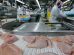 US$ 1,56 bilhão: exportação de carne do Paraná cresce 20,8% nos primeiros meses de 2025