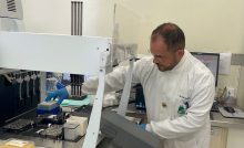 A doença viral é transmitida por mosquito conhecido como maruim e apresenta sintomas semelhantes aos da dengue e chikungunya