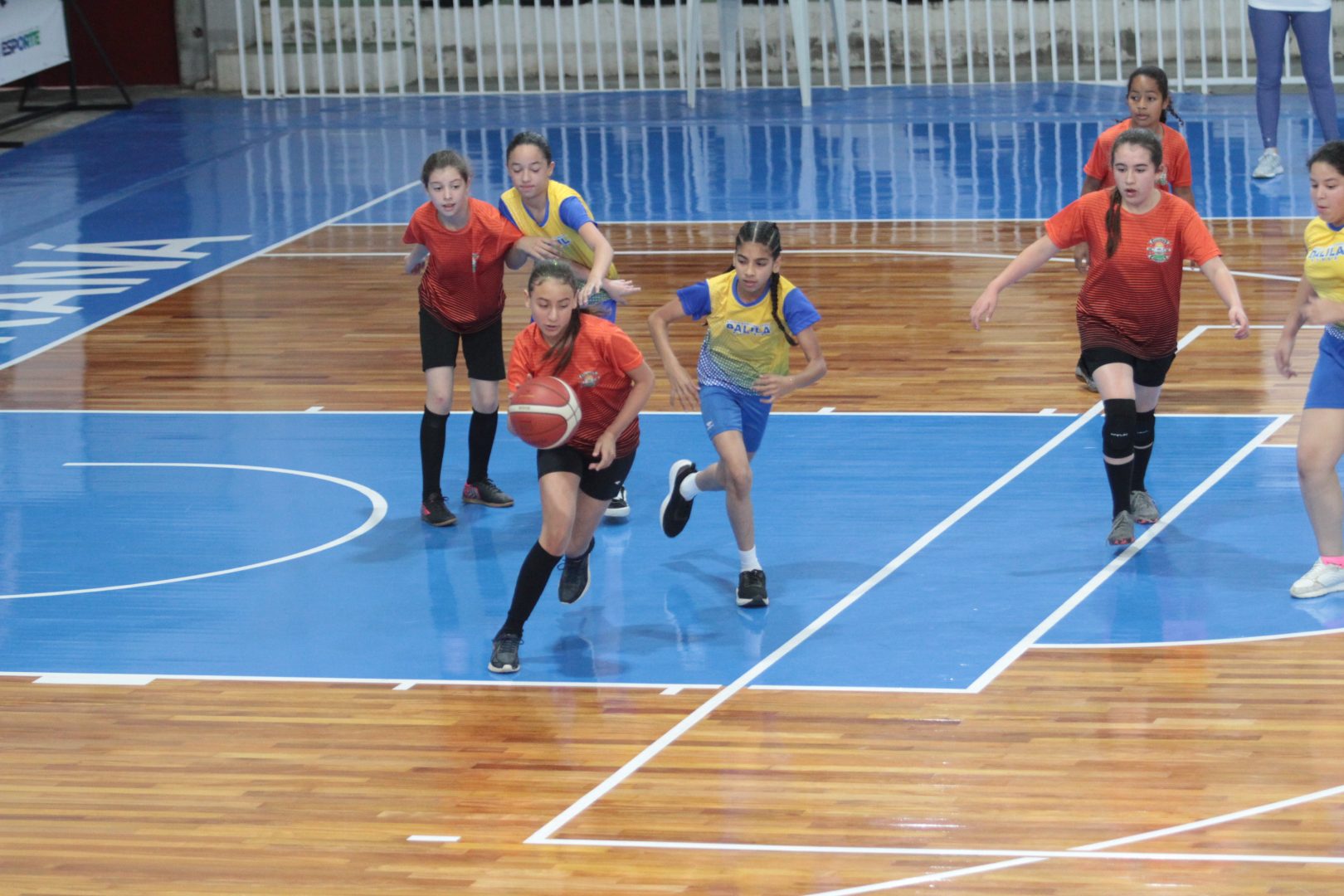 Campeões do Jeca e Jepca em Castro são conhecidos; confira — BnT Online