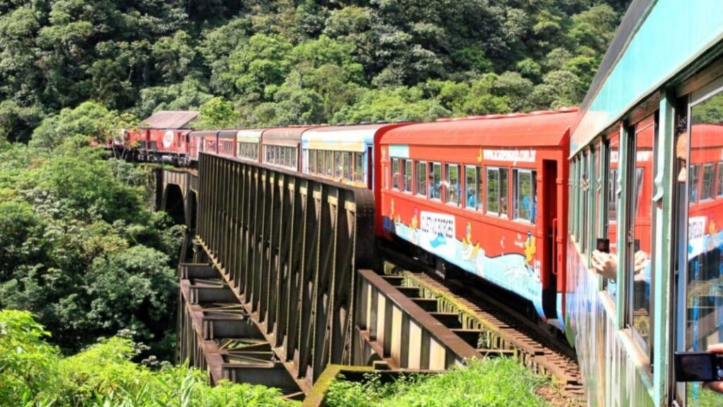 Restam poucas vagas para excursão de trem para Morretes neste domingo (17)