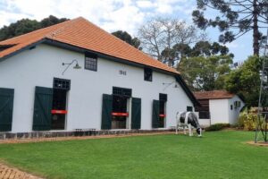 museu parque histórico de carambeí