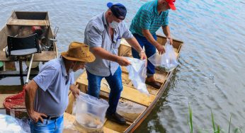 Peixes têm quantidade limitada para captura em 2024
