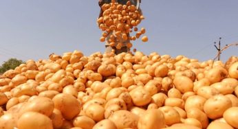Cesta básica chega a R$ 736,95 em Ponta Grossa